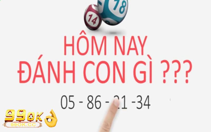 Hôm nay đánh con gì là thuật ngữ được nhiều người hỏi nhất vào mỗi sáng